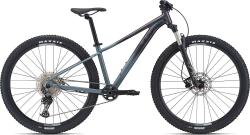 Велосипед Giant Tempt 0 29" (2021), рама M (165-175 см), серый Велосипед Giant Tempt 0 29" (2021), рама M (165-175 см), серый
