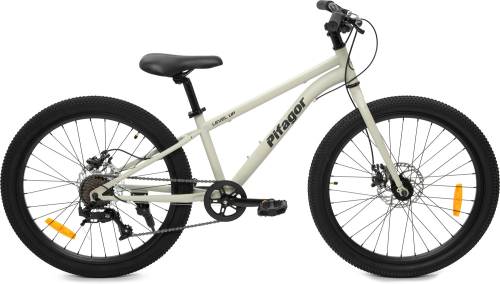 Велосипед Pifagor Level Up 24