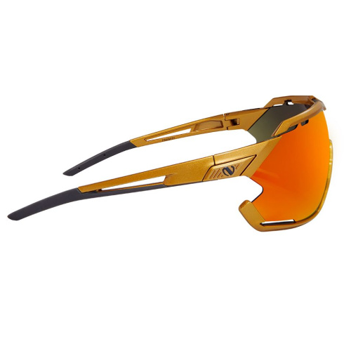 Мультиспортивные очки NORTHUG GOLD PERFORMANCE GOLD Standard