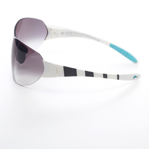 Очки ASSOS Zegho Werksmannschaft Black