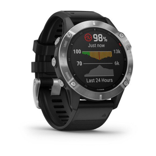 Часы GARMIN Fenix 6 (Silver/Black Band)